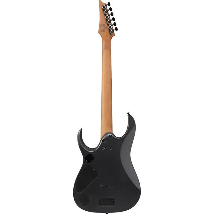 Alternate view of RGD61 Standard Black Aurora Burst Matte